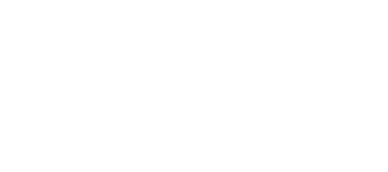 Doc-Fox-Logo